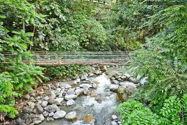 Poring Hot Springs & Canopy Wal