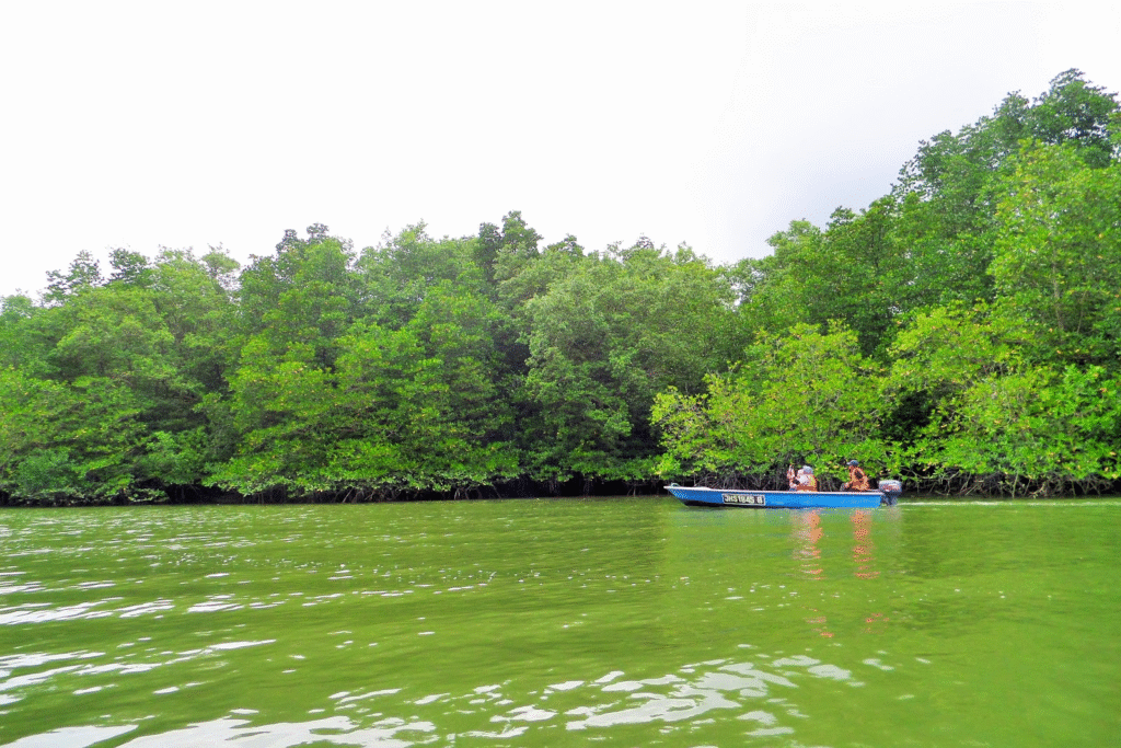 Where to Explore in Johor Like a Local-Kampung Sungai Melayu