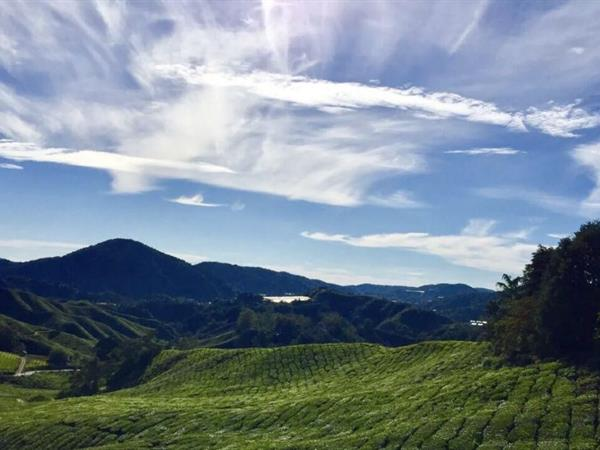 Where to Explore in Pahang Like a Local -Bukit Pelindung –A Peaceful Jungle Hike in Kuantan